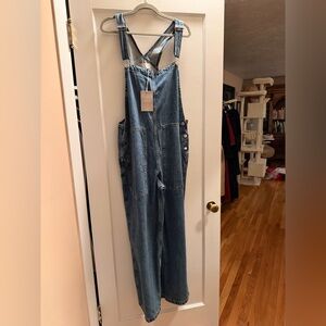 Everlane Denim Overalls